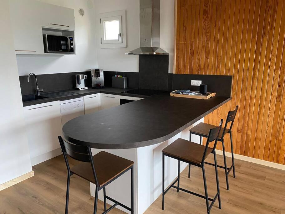Appartement Au Plan D'Eau - Chez Laurence Embrun Luaran gambar